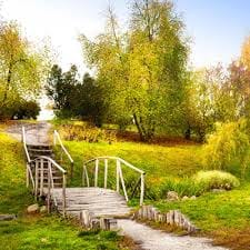 Aurelia Gaitán avatar